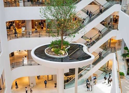 mirascenter.com-2025-12-22_14-06-54_664904