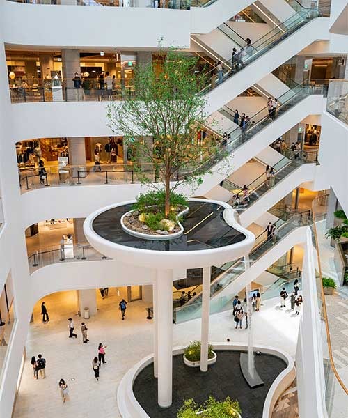 mirascenter.com-2025-12-22_14-06-54_664904